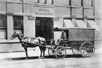 Lynn PD Horse and Wagon